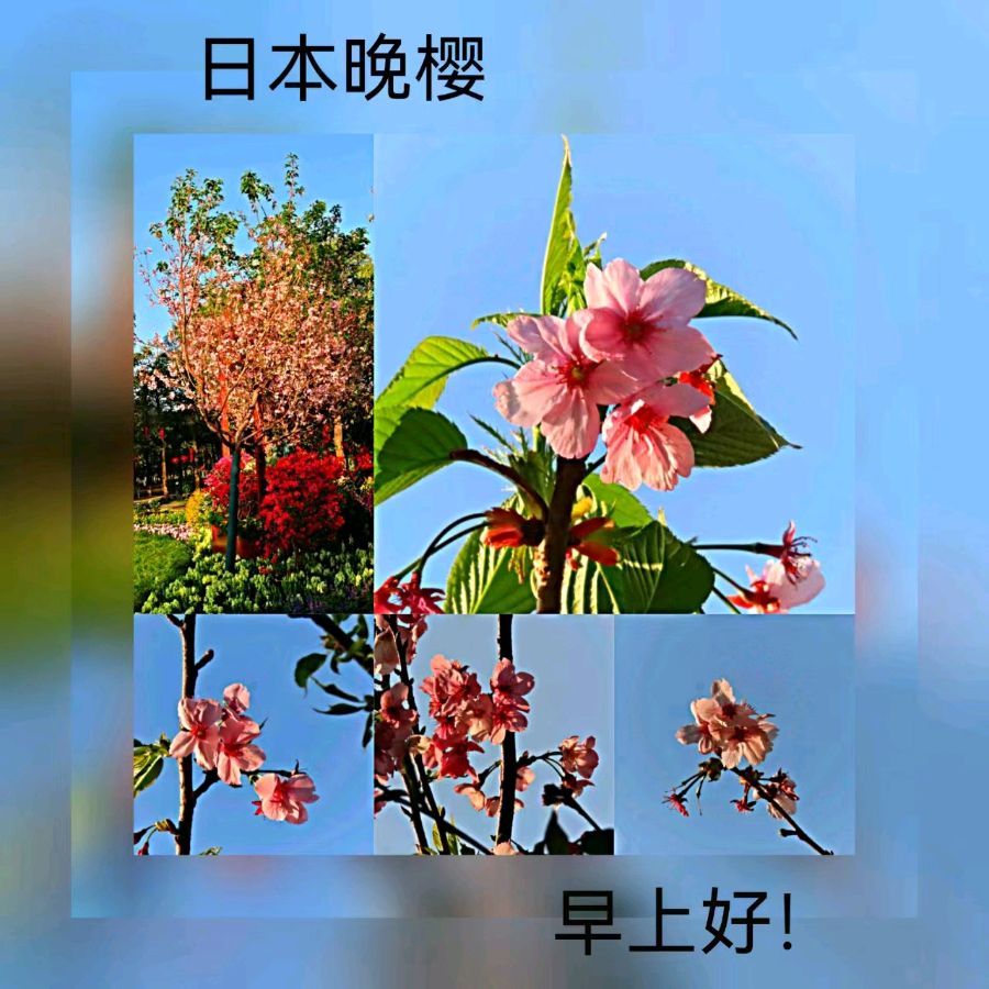 联机全球发布马洪武作品欣赏（图198）