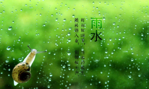 ［吟雨水诗词］七律·甲辰雨水吟（文/邹晓华）/七律·甲辰雨水题意（文/冯清明）/浣溪沙·雨水（文/许碧霞）/［中吕·满庭芳］甲辰雨水日感怀……莲叶之珠文学社