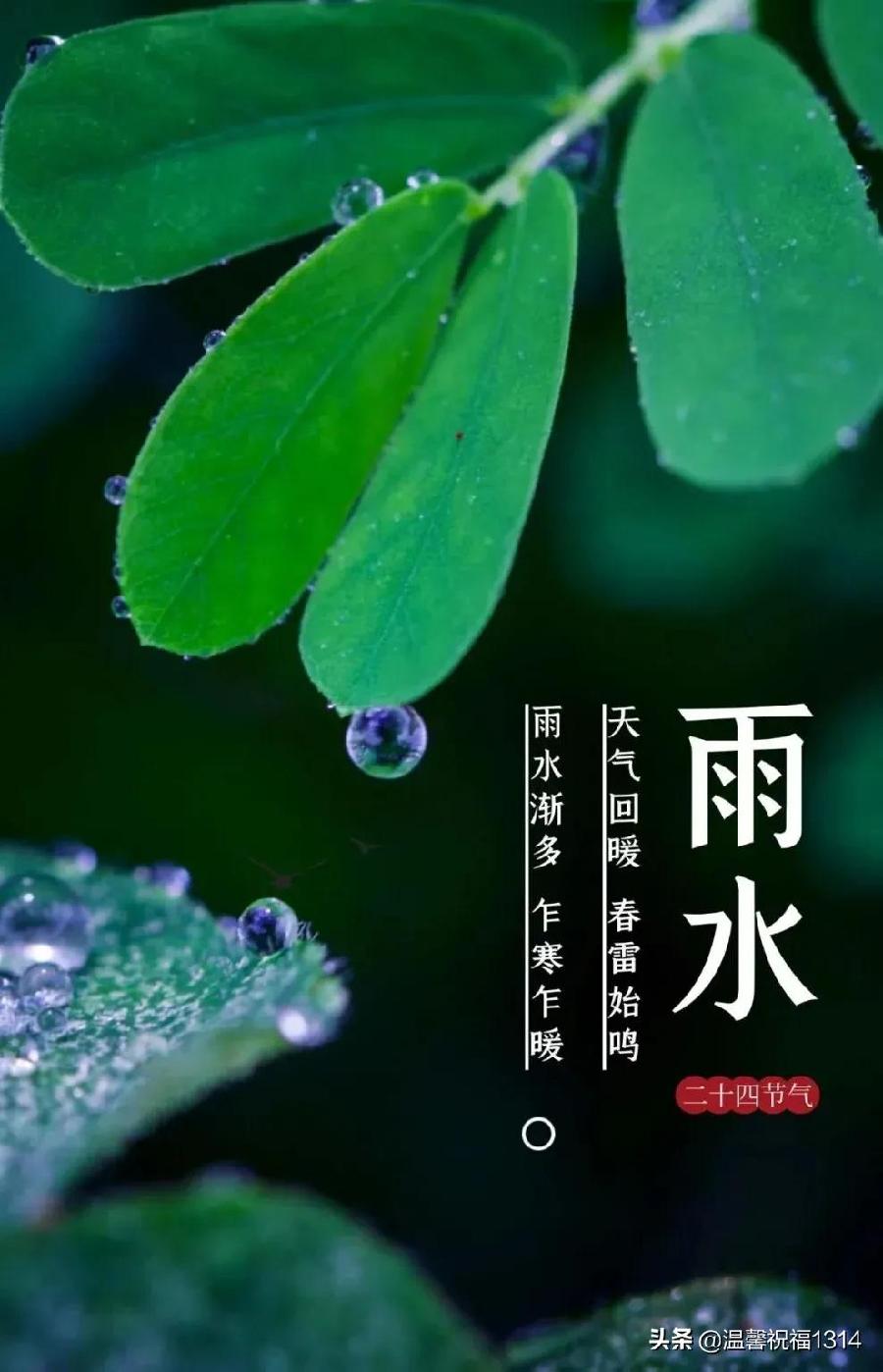 ［吟雨水诗词］七律·甲辰雨水吟（文/邹晓华）/七律·甲辰雨水题意（文/冯清明）/浣溪沙·雨水（文/许碧霞）/［中吕·满庭芳］甲辰雨水日感怀……莲叶之珠文学社（图11）