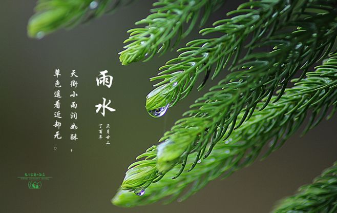【新年放歌】化忠//雨水节气（图4）