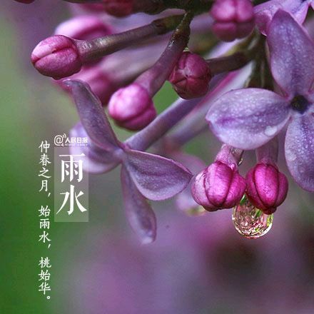 《九江文学社：北京头条》《雨水节气》专刊【总第2000期】（图17）