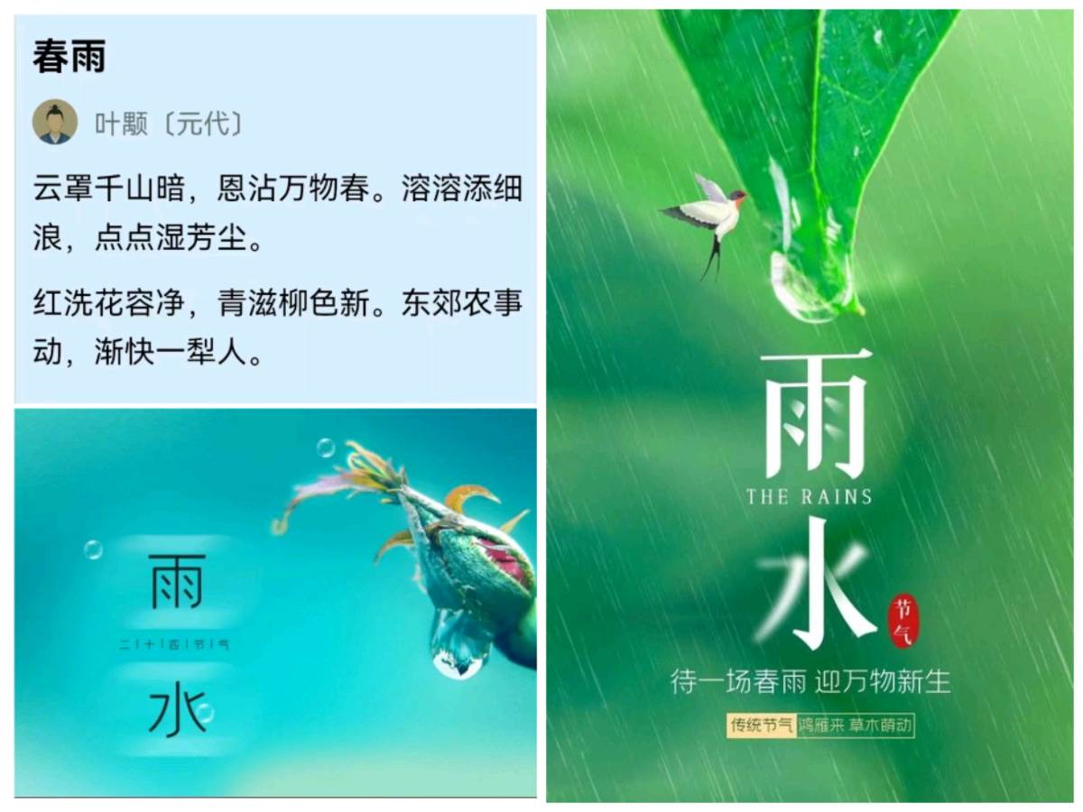 陈正的《七绝 雨水》