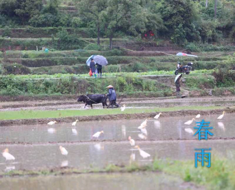 韩庚的《春雨》