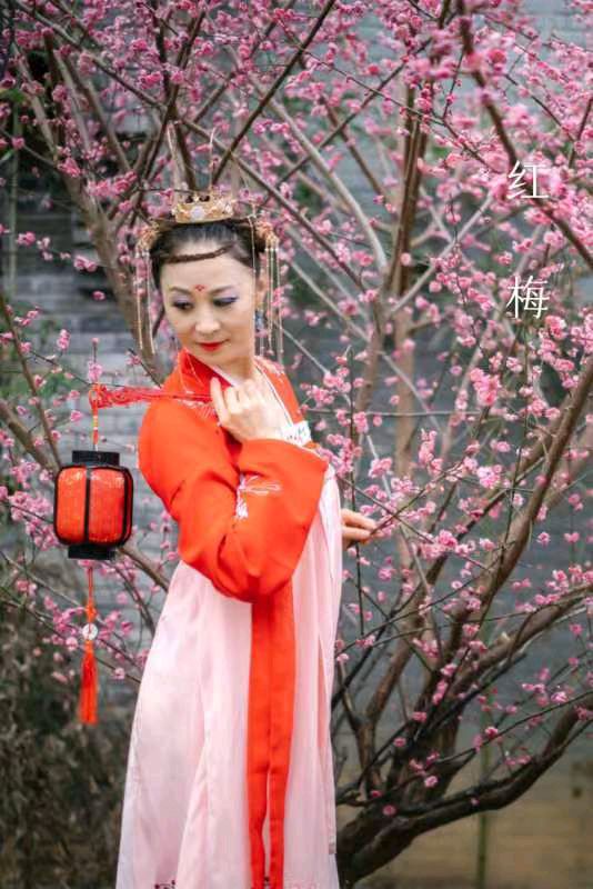 韩庚的《红梅》