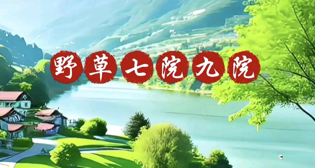 中国楹联野草诗社甲辰贺岁专辑(正月十二专辑)(图21)