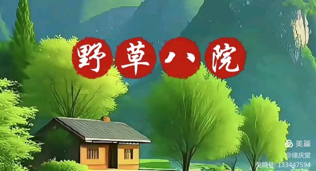 中国楹联野草诗社甲辰贺岁专辑(正月十二专辑)(图22)