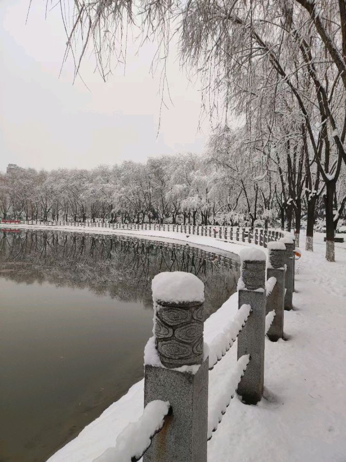 背起行囊再别家乡(图2)