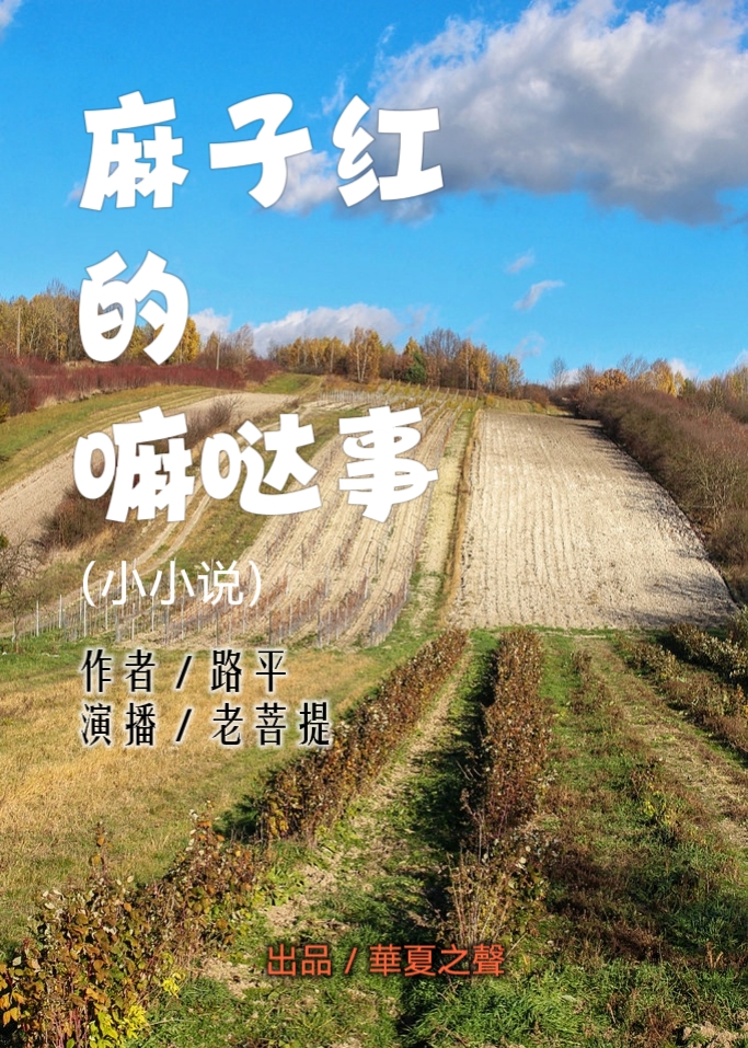 (小小说)麻子红的嘛哒事/作者:路平/演播:老菩提(图2)