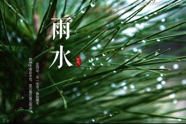 【新诗大观】写给雨水||文/姜振国(图2)