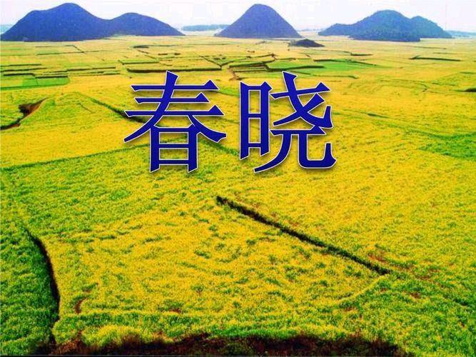 【重磅推出春韵抒怀】鲁坡//北国之春风光美[新春作品展]（图4）