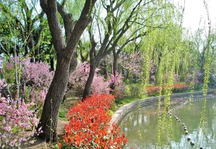 联机全球发布兰耀明作品欣赏（图9）