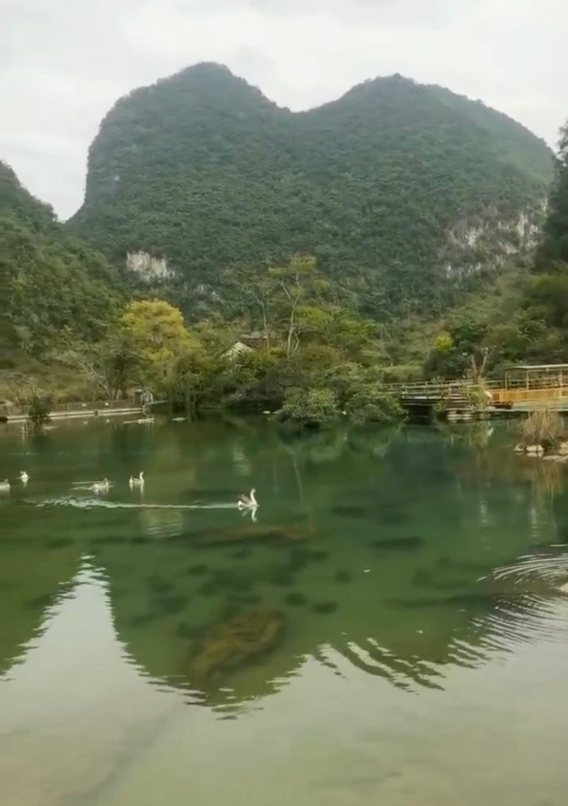 仙境处处赛桃园，作者朱建国