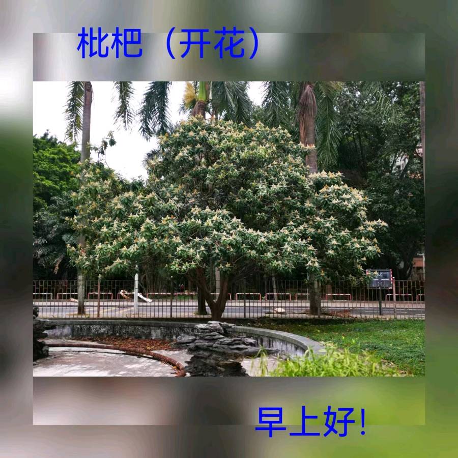 联机全球发布马洪武作品欣赏（图193）