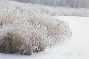 《以鱼的名义，忘记你》作者:芦国柱【主播:丹桂】【桃源国际诗歌文化传媒】用声音传递温暖以诵读致敬人生♬（图6）