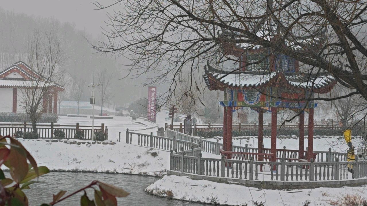 张广新的《七绝 春雪》