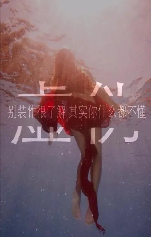 两字禅语（组合）诗||一农（图9）
