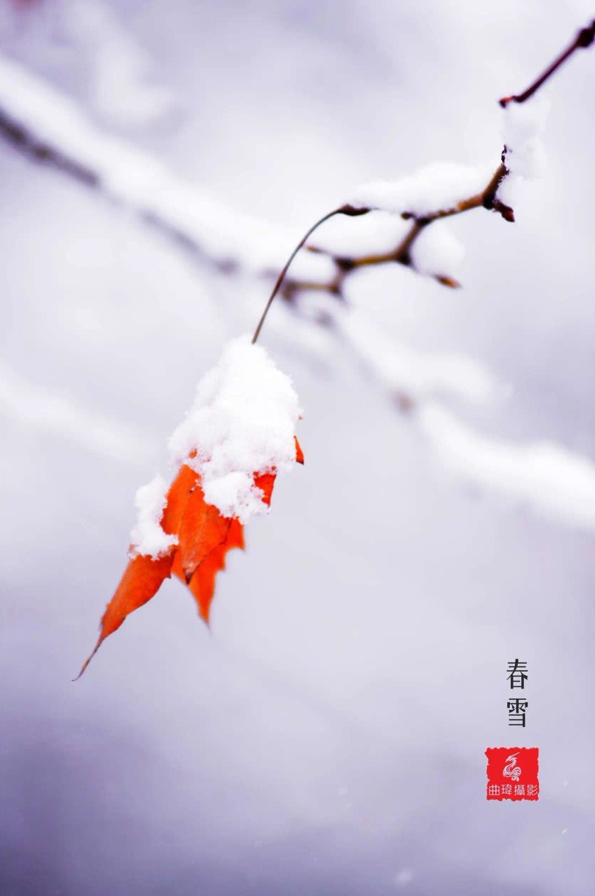 七律-春雪路上(外一首)诗||童歌(图9)