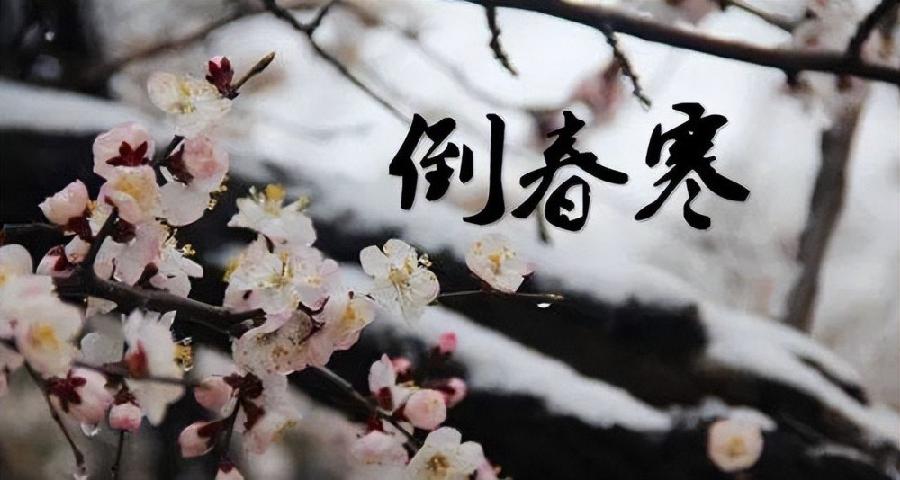 七绝-倒春寒～诗||真诚（哲林）（图9）