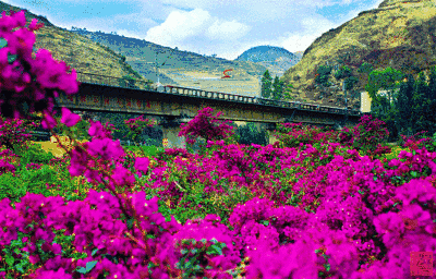 【重磅推出 元宵抒怀 】鲁坡//七律•早春二月[春韵系列作品展]（图15）