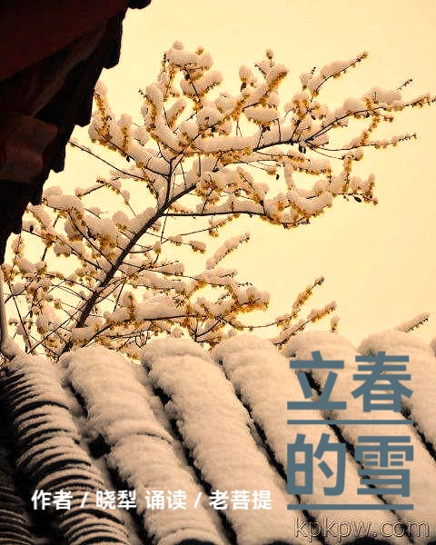 立春的雪/作者:晓犁/诵读:老菩提(图2)