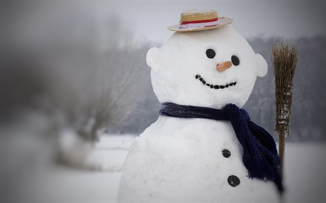 立春的雪/作者:晓犁/诵读:老菩提(图5)