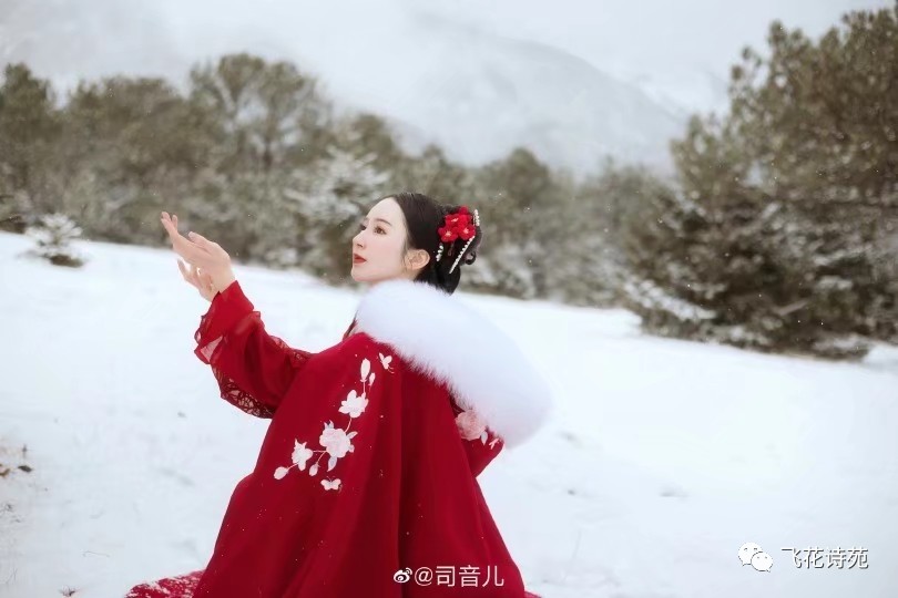 五绝.赏春雪感怀 文/梦遥 （延安）主播/高燕（图3）