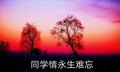 【经典推荐感悟人生】杨武军//上网闲谈（图5）