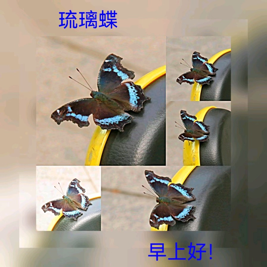 联机全球发布马洪武作品欣赏（图190）