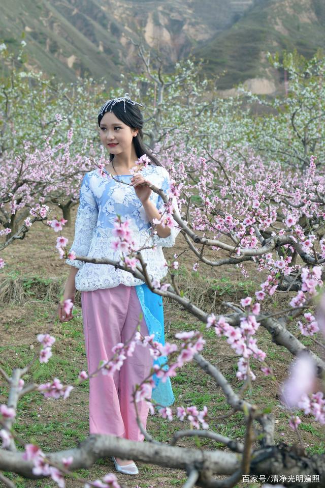 桃花约 文/水云间（图3）