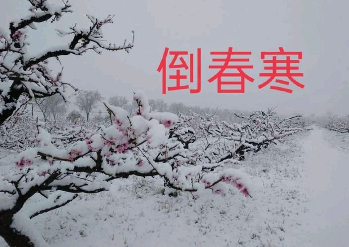 【经典推荐】嵩嵩//正月里来倒春寒（图4）