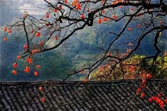 【经典推荐元宵抒怀】王清义//五律•乡愁[外一首]（图5）