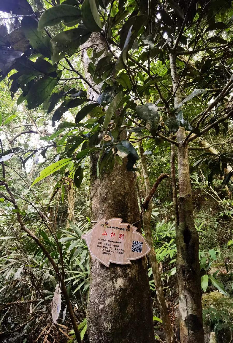 【荣耀中国】李建民老师诗词专辑（图7）