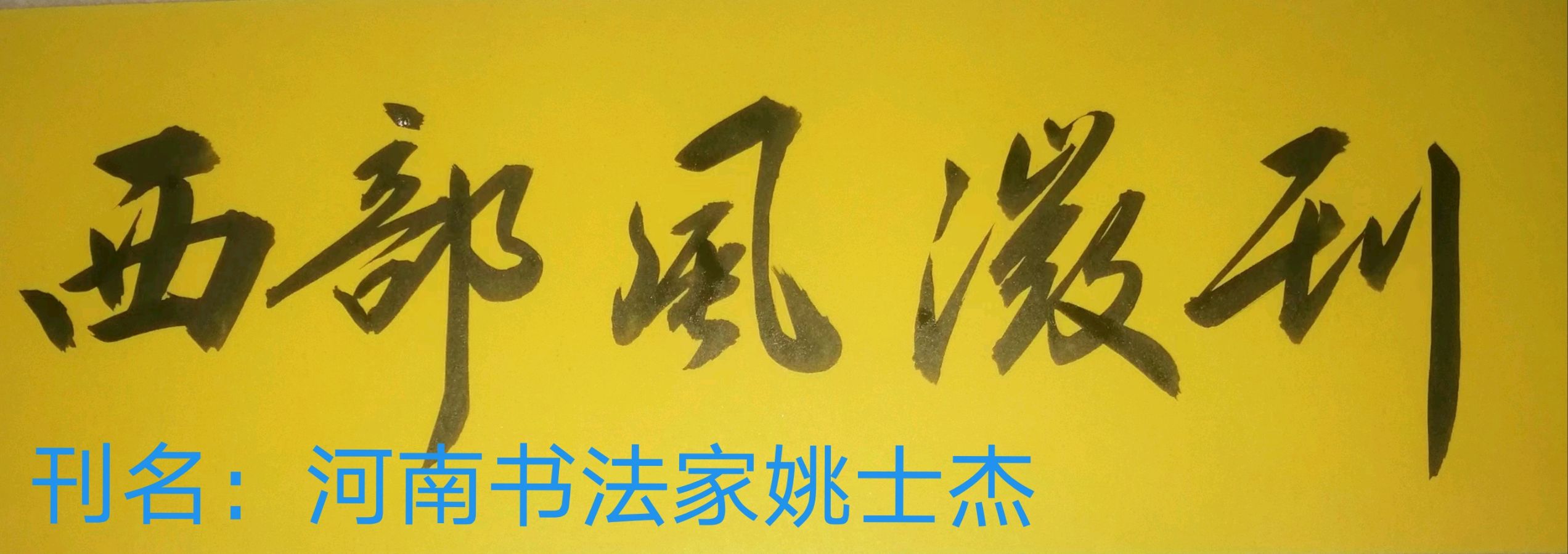 【西部风微刊】特稿：袁荷叶作品研讨会在沪举办