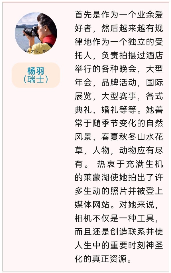 龙飞凤舞颂中华∥北美.瑞士.圣彼得堡.河南.广西.云南.呼伦贝尔.柳州.太原和桂林10地中华文化促进会国际书画摄影音乐作品展截图专辑唯美佳作欣赏∥中国桂林都市漓江诗书画社总（第143期）（图49）