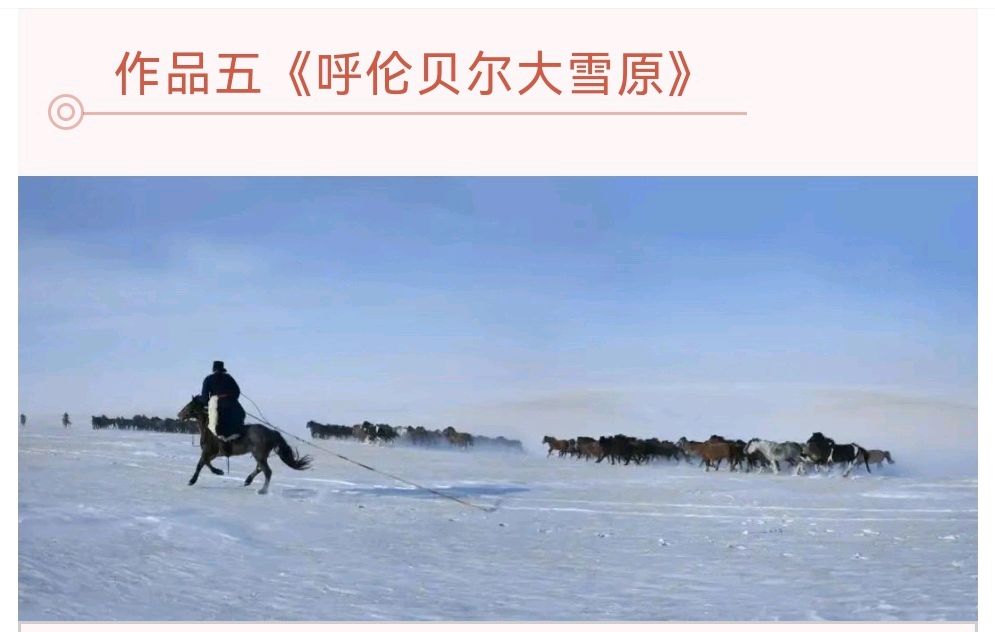 龙飞凤舞颂中华∥北美.瑞士.圣彼得堡.河南.广西.云南.呼伦贝尔.柳州.太原和桂林10地中华文化促进会国际书画摄影音乐作品展截图专辑唯美佳作欣赏∥中国桂林都市漓江诗书画社总（第143期）（图53）