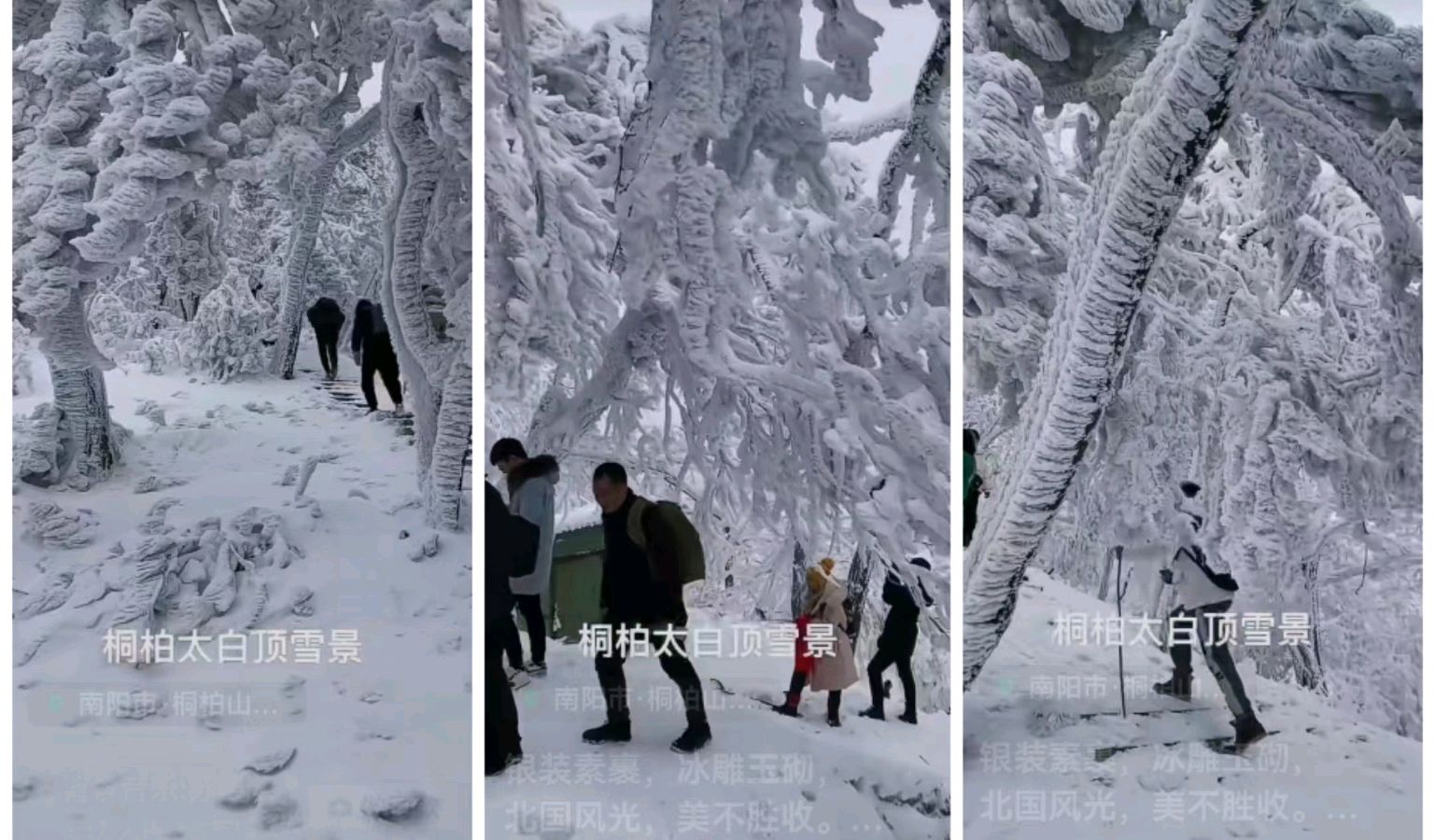 韩庚的《诗意桐柏山》