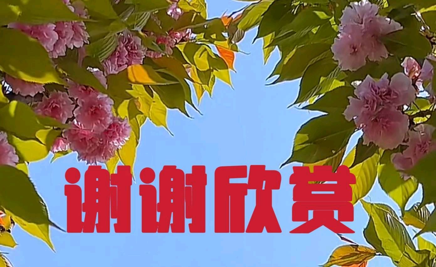 宋词《浣溪沙》10首收藏学习（图13）