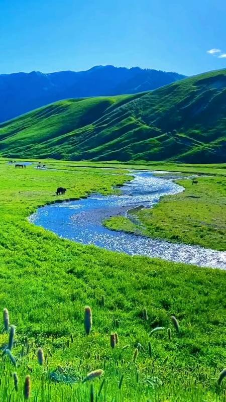 家南的小河～诗||晏忠林（图8）