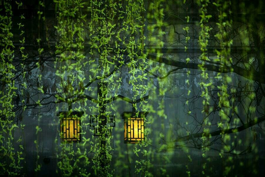 春阳暖家（组合）诗||一农（图14）
