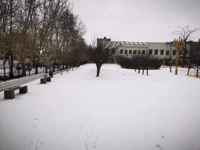 【荣耀中国】雪中情诗词四首作者/庄永之(江苏)(图4)