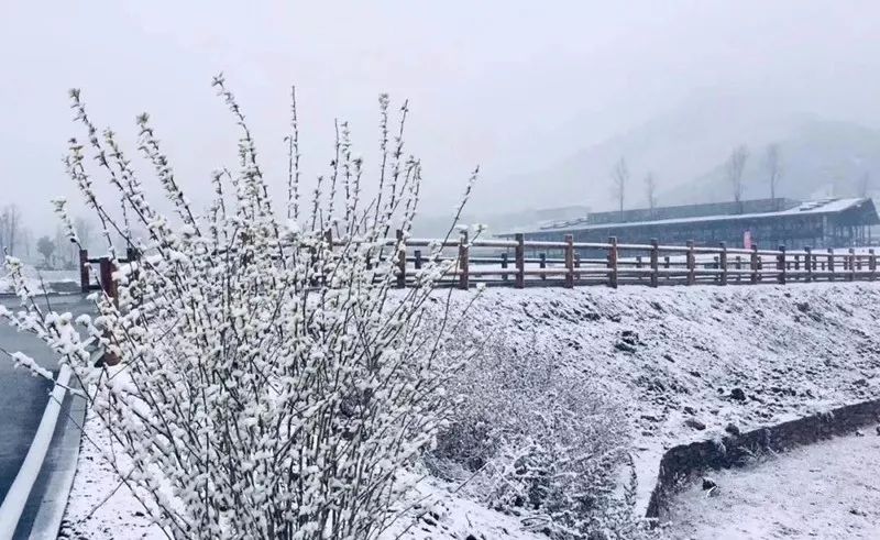 【荣耀中国】雪中情诗词四首作者/庄永之(江苏)(图5)