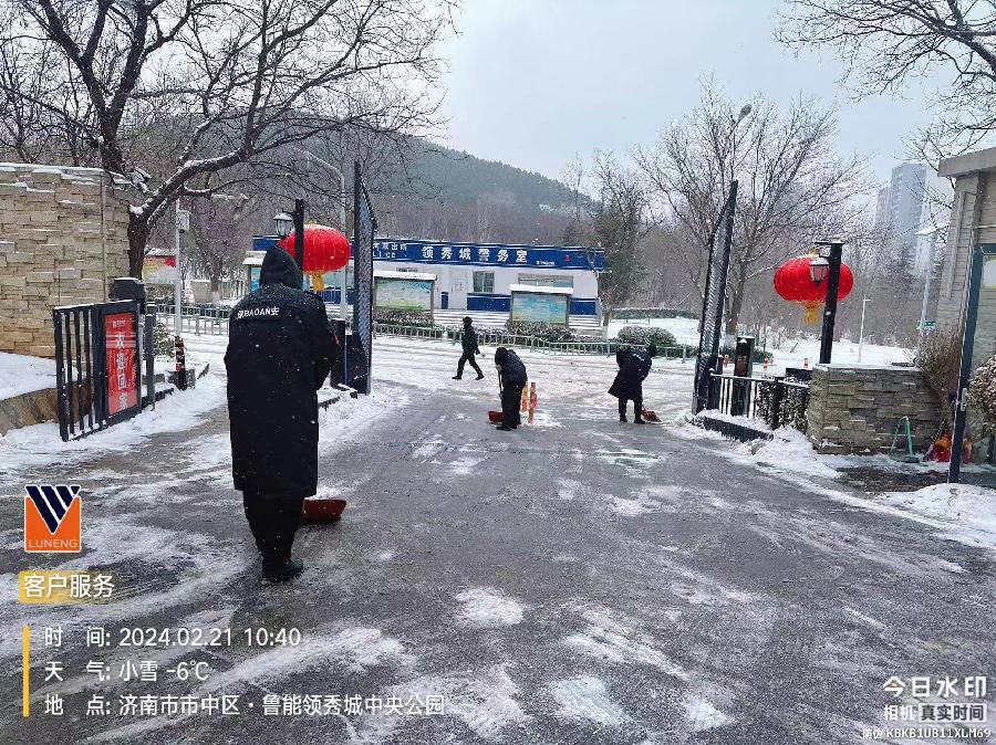 【荣耀中国】雪中情诗词四首作者/庄永之(江苏)(图6)