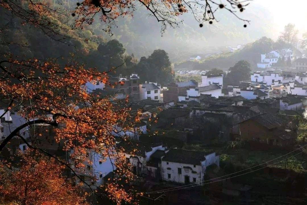 【明心文学】醒悟喑哑遗憾 作者/老孙 主播/虹（图3）