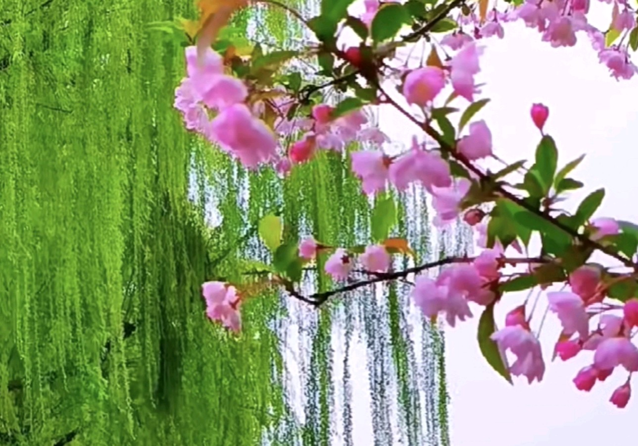 宋词《浣溪沙》10首收藏学习（图11）