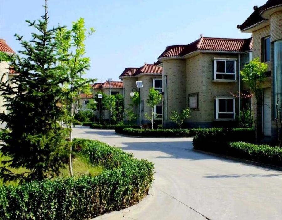 忆江南-农村市井十五态见闻～词||王坤（图9）