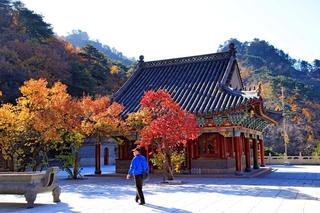 联机全球发布三峡石作品欣赏（图13）
