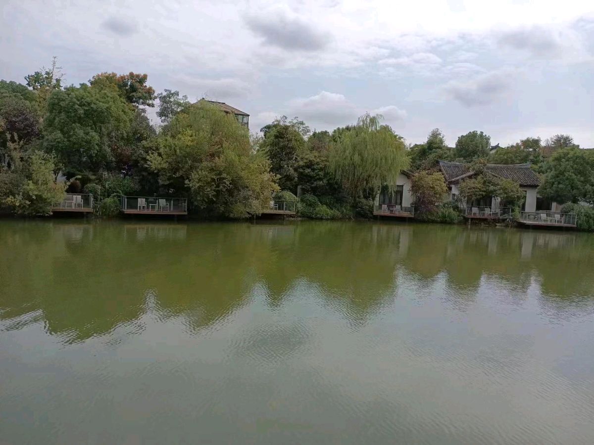 高言阳春倾情推出力作 年前回故乡 朗诵：陈丽娟（图3）