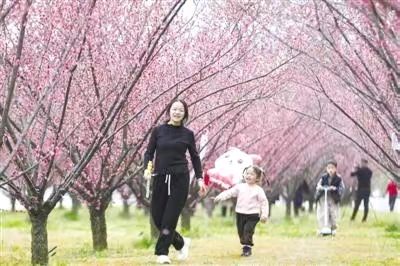 《中国现代名诗歌新作品合集鉴赏》作者：田歌、管泽富。配乐:上海民乐乐曲合奏《闹元宵》[中国现代诗歌文化传媒]（图9）