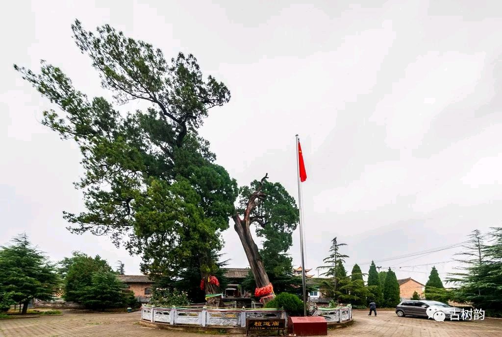 心在故乡(四)(图7)