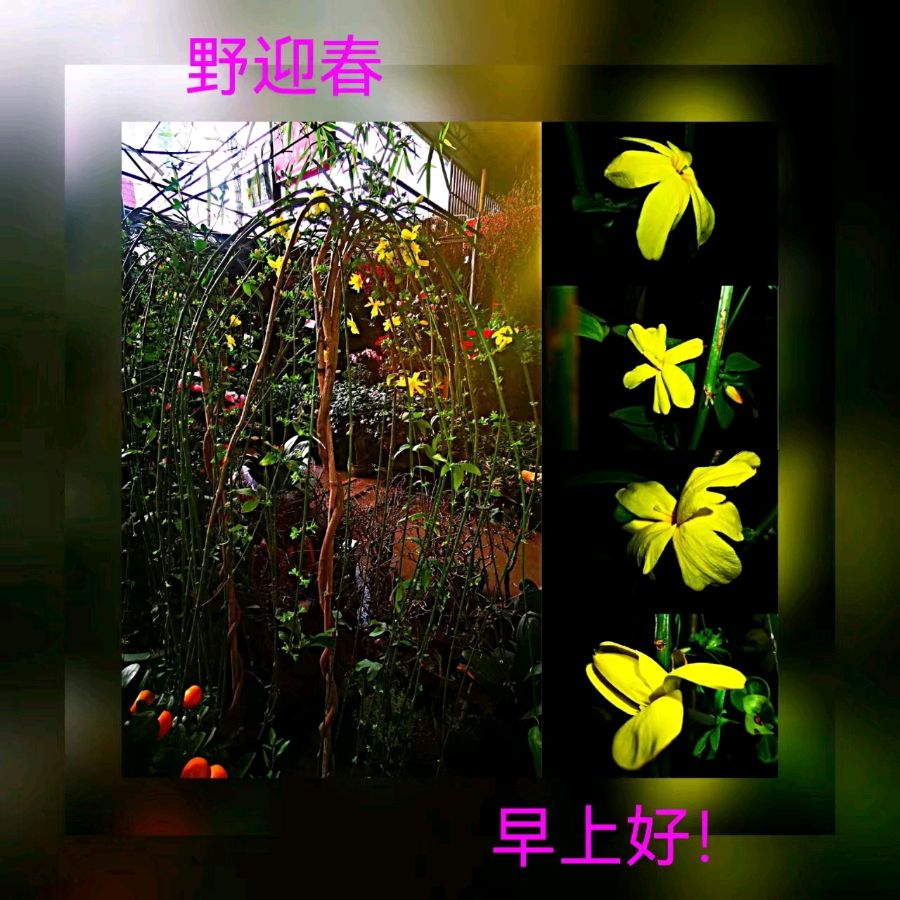 联机全球发布马洪武作品欣赏（图181）